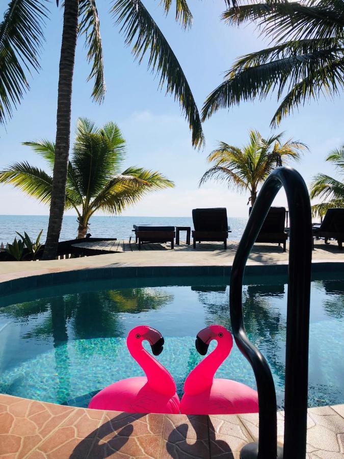 Coral Cove Inn Maya Beach المظهر الخارجي الصورة