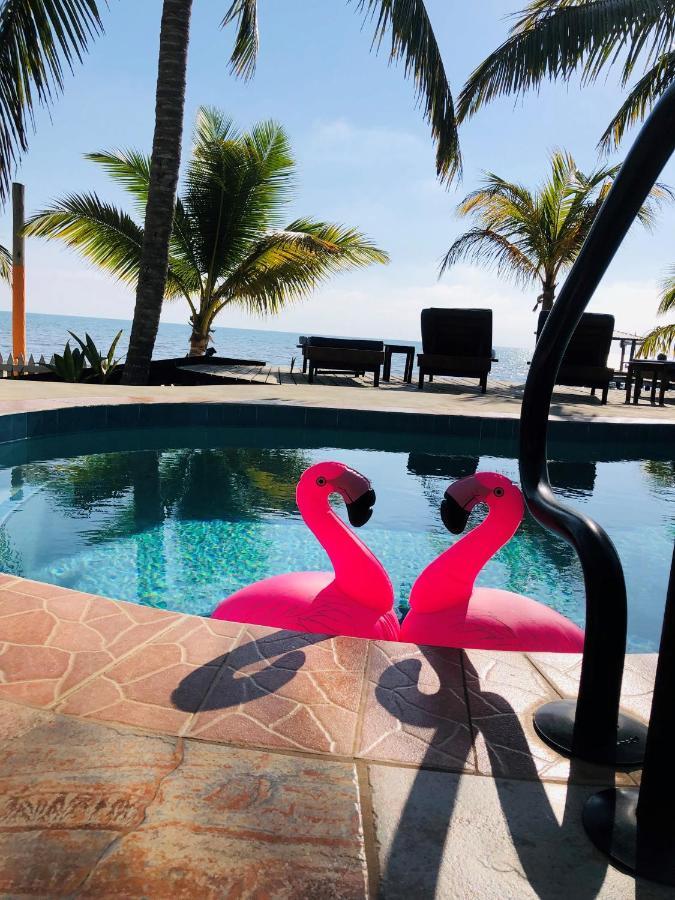 Coral Cove Inn Maya Beach المظهر الخارجي الصورة