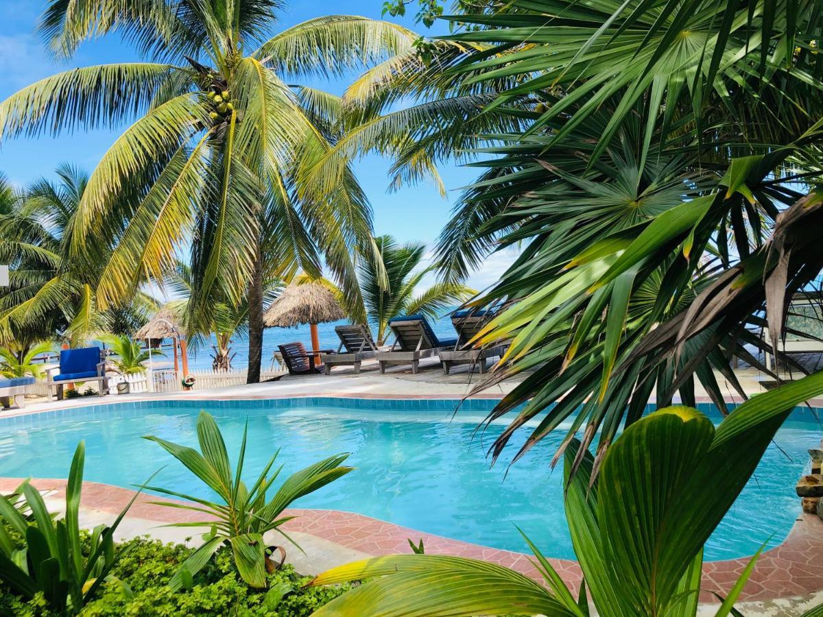 Coral Cove Inn Maya Beach المظهر الخارجي الصورة